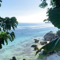 Елена Селезнева