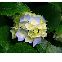 Наталья Кожухова