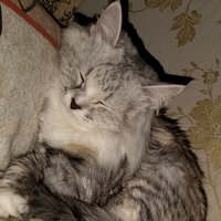 Элеонора Дубовицкая