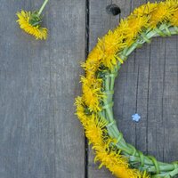 Катерина Терехова