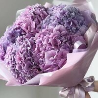 Полина Цедербаум