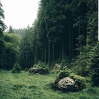 Ангелина Ш.