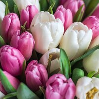 Александра