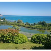 ольга пальянова