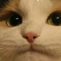 Константин Зайцев