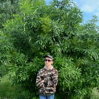 Михаил Бондаренко