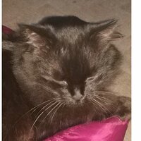 Валера Ольхов