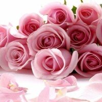 Наталья Гордиманова