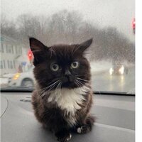 Иван Краснов