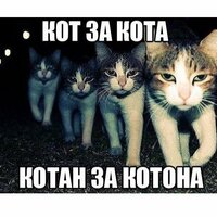 Миша Крупко