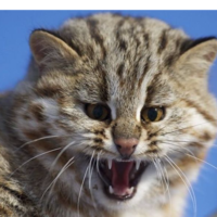 Юрий Филатов