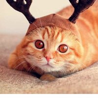 Елена Смирнова