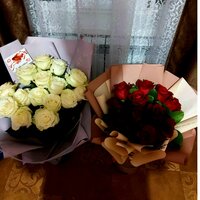 Светлана Емельянова