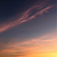 Анастасия С.