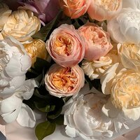 Rybacheva  Anastasia