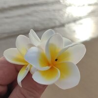 Мирослава М.