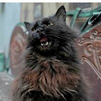 Таня Жаринова