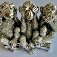 Ирина Выговская