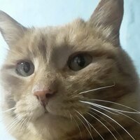 Иван Лысенко