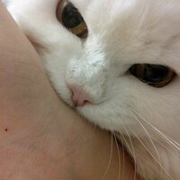 Анастасия Н.