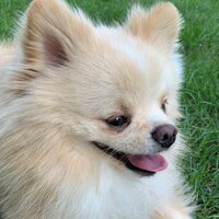 Оксана Журавлёва