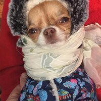 Елена Лозовая