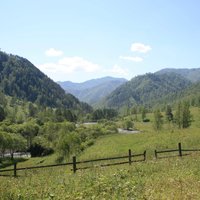 Татьяна Батанина