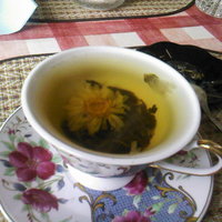 Елена Б.Е.В.