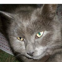 Валентина Глазырина