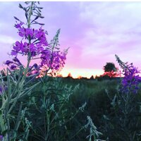 Ангелина Никульникова