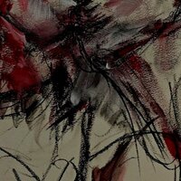 Анастасия Т.