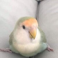 Успешная и любимая