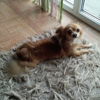 Марфа Ивановна