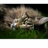 Юлия Сальникова