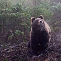 Кирилл Аникушин