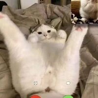 Агиль Габиль