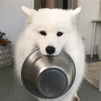 Артем Александров