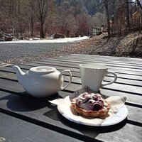 Светлана М.