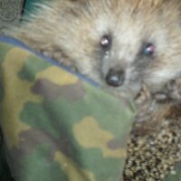 Римма Куликова