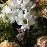 Анна Анфёрова