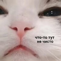 Ангелина Л.