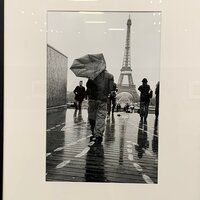 Софья Рукина