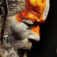 Анастасия Ш.