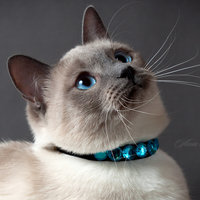 Татьяна Олеговна