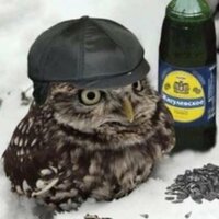 Константин Шумкин