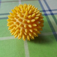 Надежда Арефьева