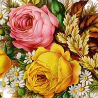 Светлана Х.