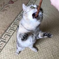 На Ты, пожалуйста