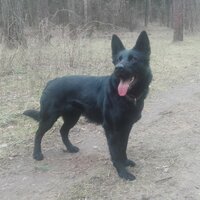 Аннамария М.