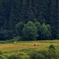 Александра Ш